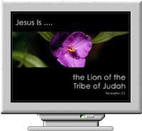 Names of Christ Screen Saver Screenshot